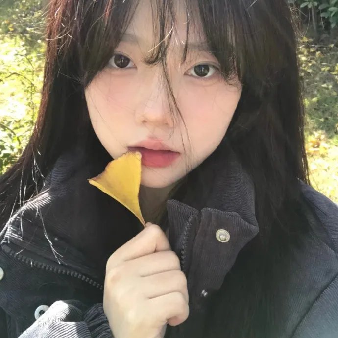 诱惑的港湾